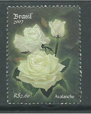 C2711 ROSAS, DO BLOCO 146 2007 - 10.881  Mint